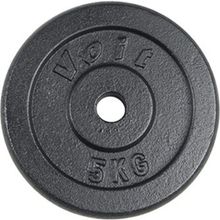 Voit PL101 5 Kg Döküm Flanş