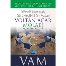 Voltan Acar - Molaei Vam Modeli - Psikolojik Danışmada Bütünleştirici Bir Model - Nilüfer Voltan Acar Behnam Molaei