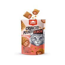 Wanpy Crunch Somonlu 60 gr Kedi Ödül Maması