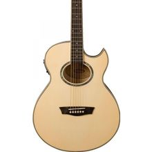 Washburn EA20 Elektro Akustik Gitar