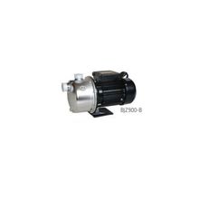 Water Sound BJZ900-B Paslanmaz Jet Pompa