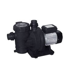 WaterFun Senkron-1 1 Hp 220 V Havuz Pompası