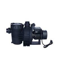 WaterFun Senkron-2 1.5 Hp 380 V Havuz Pompası