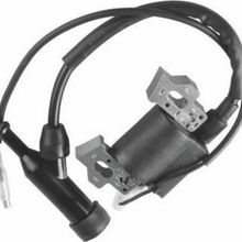 Weima Benzinli Motorlar 168f-170f Elektronik Bobin