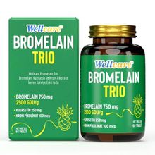 Wellcare Bromelain Trio 60 Tablet