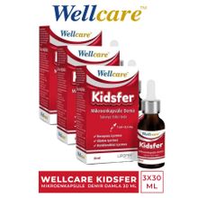 Wellcare Kidsfer Lipozomal Demir 3x30 ml Damla