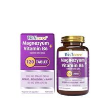 Wellcare Magnezyum Vitamin B6 120 Tablet