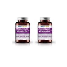 Wellcare Magnezyum Vitamin B6 2x30 Tablet