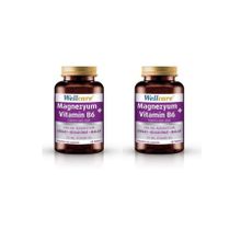Wellcare Magnezyum Vitamin B6 2x60 Tablet