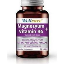 Wellcare Magnezyum + Vitamin B6 30 Tablet