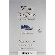What the Dog Saw - Malcolm Gladwell