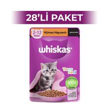 Whiskas Kümes Hayvanlı 85 gr 28 Adet Yavru Kedi Yaş Maması