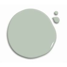 Whynot? Olive Grove 1.5 lt İç Cephe Duvar Boyası