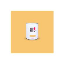 Whynot? Sunny Glow 2.5 lt İç Cephe Duvar Boyası