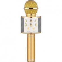 Winex Bluetooth UsbA TF Sd Kart 3.5 mm Aux Girişli Gold Karaoke Mikrofonu