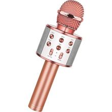 Winex Bluetooth UsbA TF Sd Kart 3.5 mm Aux Girişli Pembe Karaoke Mikrofonu