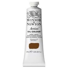 Winsor Newton Artists Burnt Umber 076 S.1 37 ml Yağlı Boya