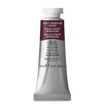 Winsor Newton Capute Mortum Violet 125 S.2 14 ml Sulu Boya