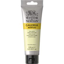 Winsor Newton Galeria 434 Pale Lemon Akrilik Boya