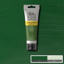 Winsor Newton Galeria 599 Sap Green Akrilik Boya