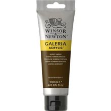 Winsor Newton Galeria Burnt Umber 076 120ml Akrilik Boya