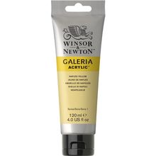 Winsor Newton Galeria Naples Yellow 422 120ml Akrilik Boya