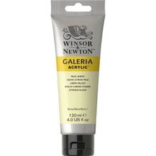 Winsor Newton Galeria Pale Lemon 434 120ml Akrilik Boya