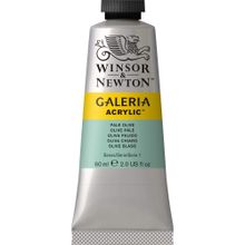 Winsor Newton Galeria Pale Olive 435 60ml Akrilik Boya