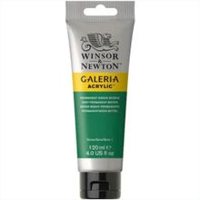 Winsor Newton Galeria Permanent Green Middle 484 120ml Akrilik Boya