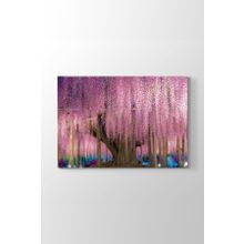 Wisteria Ağacı Tablosu
