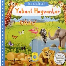 YABANI HAYVANLAR - KOLEKTIF
