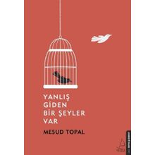 Yanlış Giden Bir Şeyler Var - Mesud Topal