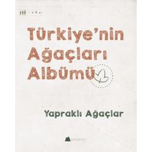 Yapraklı Ağaçlar - Türkiye'nin Ağaçları Albümü - Işıl Erverdi
