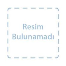 YARGIDAKİ ANILARIN TORTUSU - ABBAS GÖKÇE