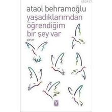 YAŞADIKLARIMDAN ÖĞRENDİĞİM BIR ŞEY VAR - ATAOL BEHRAMOĞLU