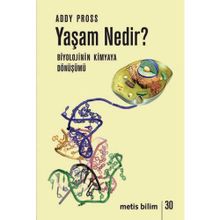Yaşam Nedir? - Addy Pross