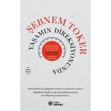 Yaşamın Direksiyonunda - Şebnem Toker