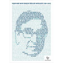 Yaşar Nabi Nayır Gençlik Ödülleri Antolojisi 1991-2015 - Mehmet Erte