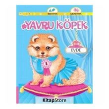 Yavru Köpek Evde - Abdullah Karaca
