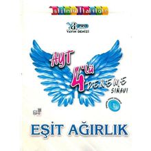 Yayın Denizi AYT Eşit Ağırlık 4'lü Pro Deneme