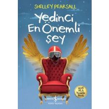 Yedinci En Önemli Şey - Shelley Pearsall