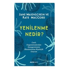 Yenilenme Nedir? Alfa Yayınları
