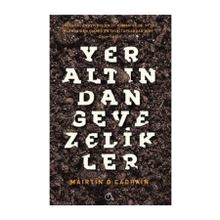 Yeraltından Gevezelikler - Mairtin O Cadhain