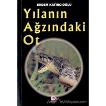 YILANIN AĞZINDAKİ OT - ERDEM KATIRCIOĞLU