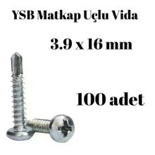 Yıldız Silindir Başlı 100 Adet - 3.9 x 16 mm Ysb Matkap Uçlu Akıllı Vida