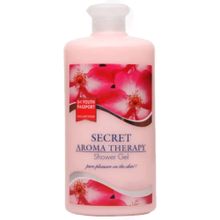 Youth Passport Secret 650 ml Duş Jeli