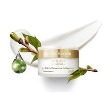 Yves Rocher Anti Age Global Gençleştirici ve Yenileyici 50 ml Gündüz Kremi