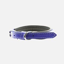 Zampa 35 cm Mor Köpek Boyun Tasması