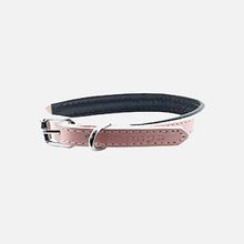 Zampa 35 cm Pembe Köpek Boyun Tasması