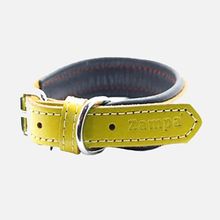 Zampa 54 cm Sarı Köpek Boyun Tasması